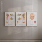 Patient-friendly reflexology charts.