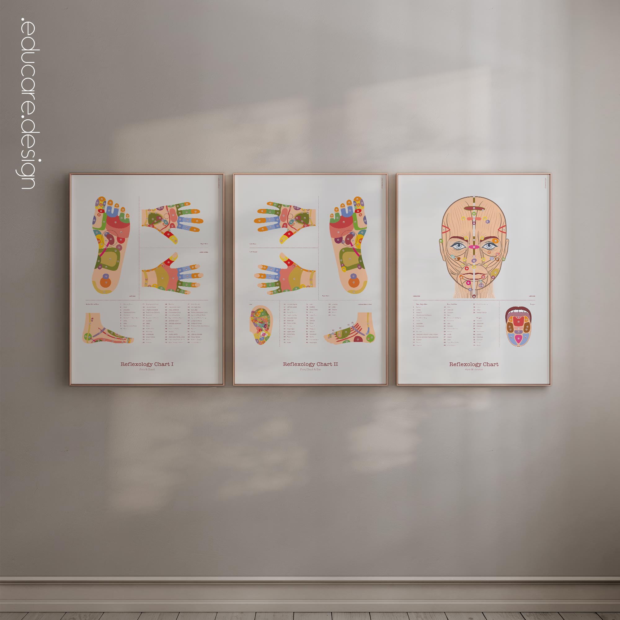 Patient-friendly reflexology charts.