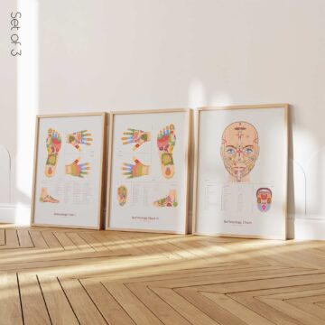 Care Statements Set (3) anatomy chart for clinics