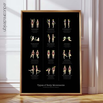 Types of Body Movements - Anatomy Chart with Fundamental Movement Patterns