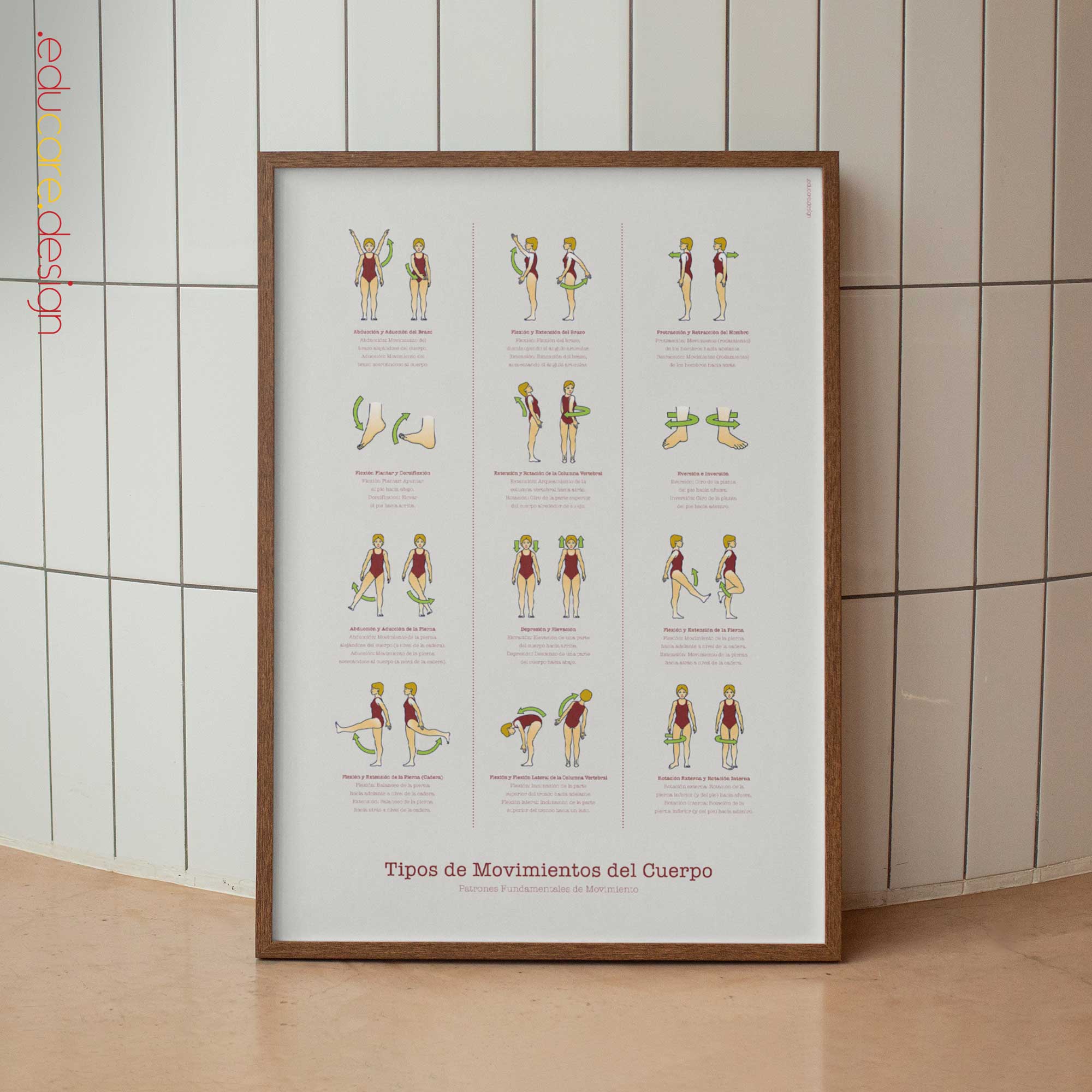 Types of Body Movements - Anatomy Chart with Fundamental Movement Patterns