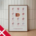 Almindelige Skuldertilstande anatomidiagram til klinikker