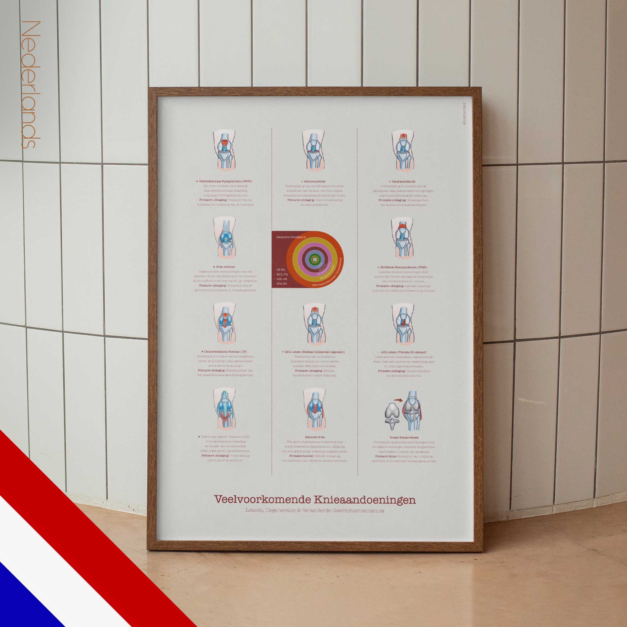 Common Shoulder Conditions