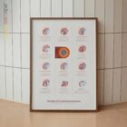 Häufige Schulterbeschwerden Anatomie-Chart für Praxen und Kliniken