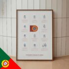 Condições Comuns do Joelho diagrama anatómico para clínicas e consultórios