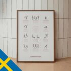 Pilates Exercises anatomidiagram för kliniker