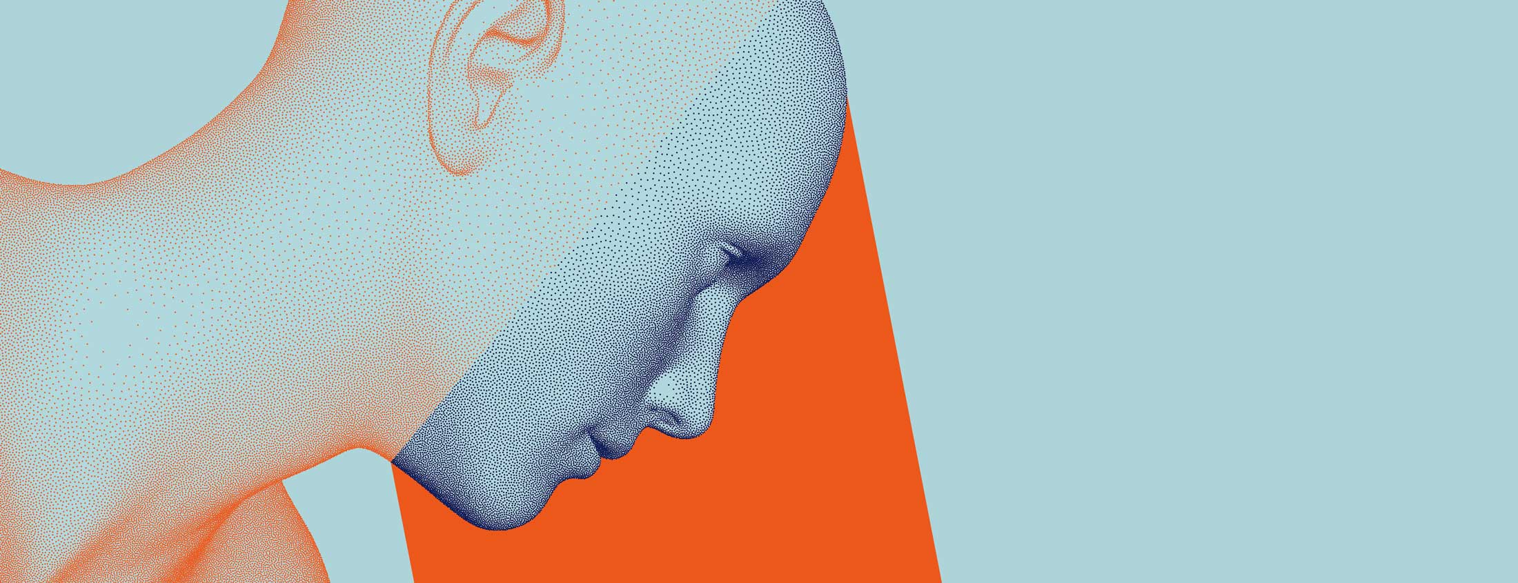 Premium Anatomy Charts