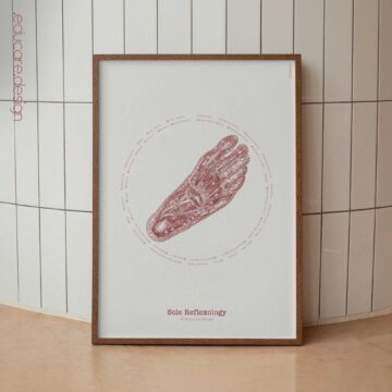 Reflexology of the Sole – Vintage Anatomy Chart