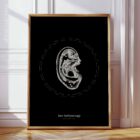 Reflexology Ear anatomy chart for clinics
