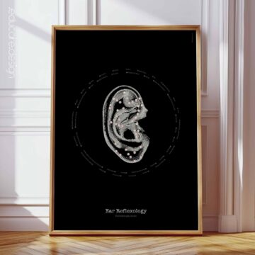 Reflexology of the Ear – Vintage Anatomy Chart