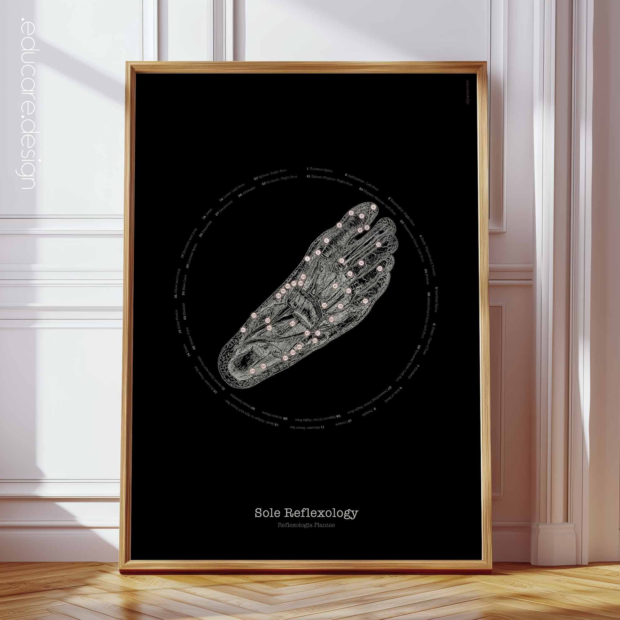 Reflexology of the Sole – Vintage Anatomy Chart