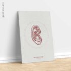 Reflexology Ear anatomy chart for clinics