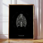 The Rib Cage anatomy chart for clinics