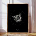 The Eye anatomy chart for clinics