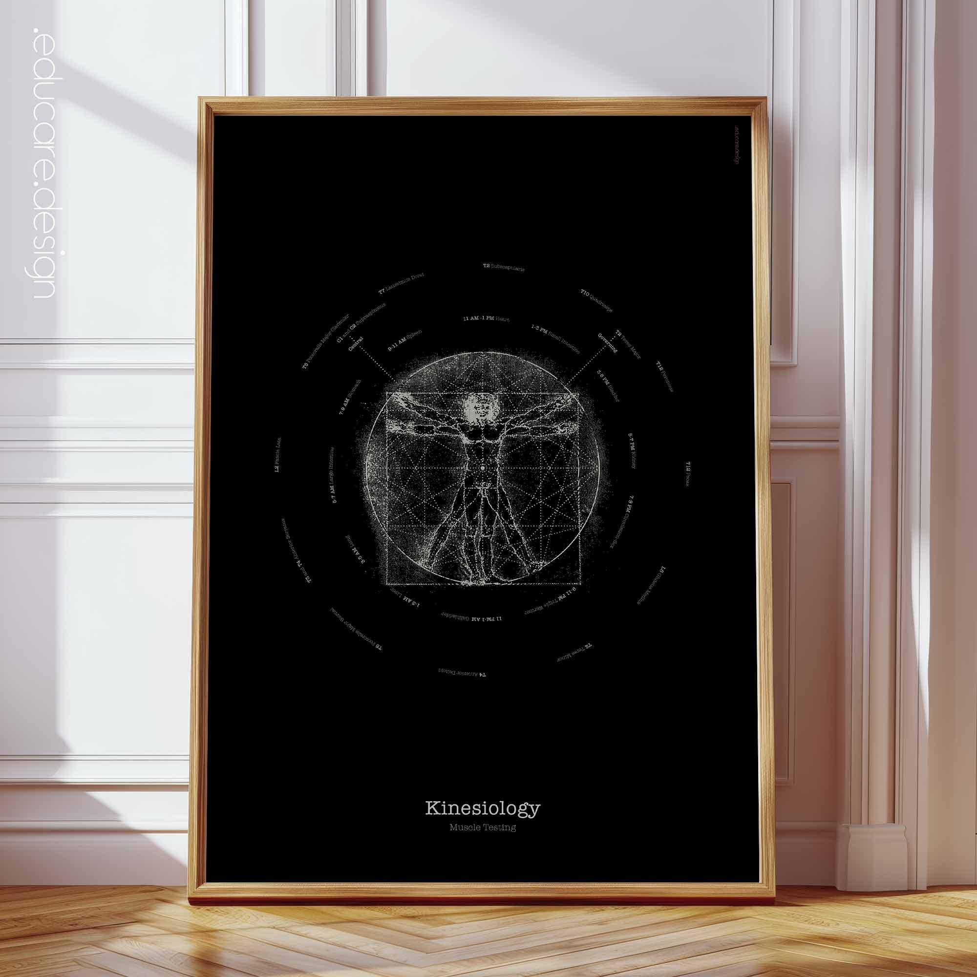 Kinesiology Muscle Testing – Vintage Anatomy Chart