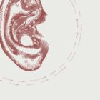 Reflexology Ear anatomy chart for clinics