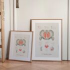 Pelvic Floor System anatomy chart for clinics