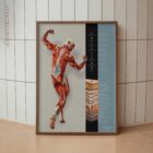 Fascia and Fascial Tissue Layers anatomy chart for clinics