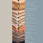 Fascia and Fascial Tissue Layers anatomy chart for clinics
