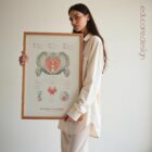 Pelvic Floor System anatomy chart for clinics