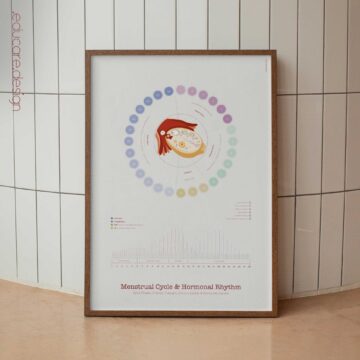 Menstrual Cycle & Hormonal Rhythm Anatomy Chart
