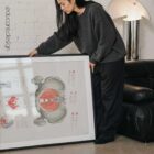 Pelvic Floor System anatomy chart for clinics