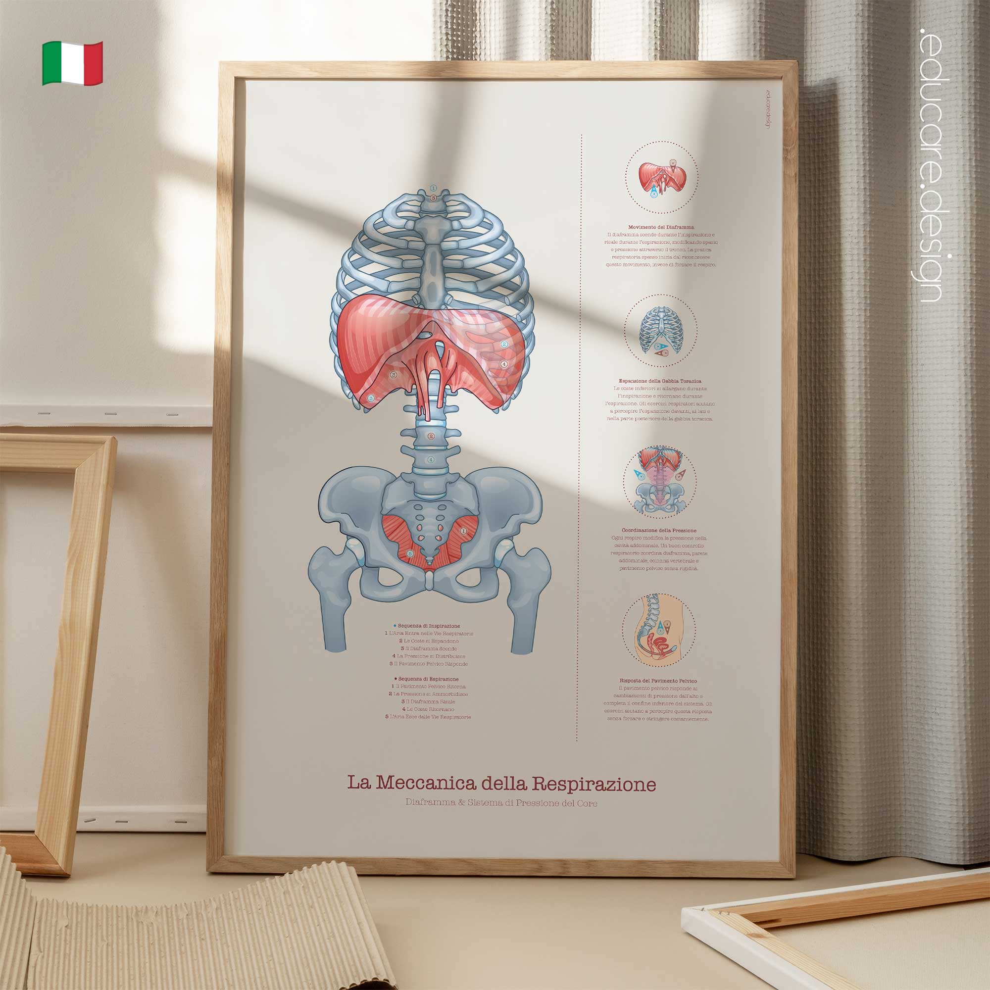 Breathing Exercises anatomy chart for clinics
