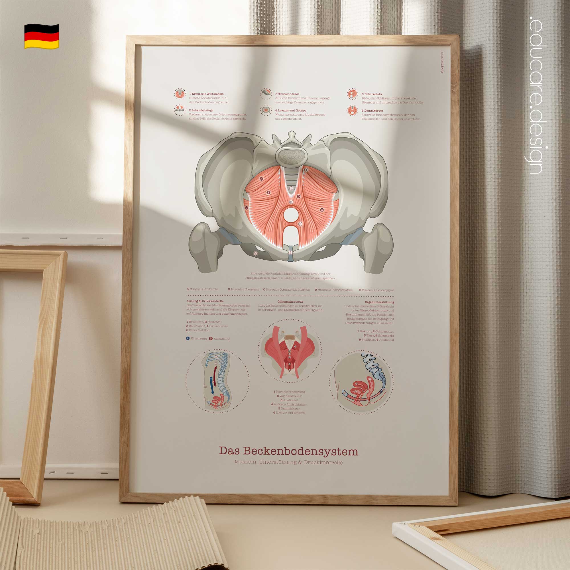 The Pelvic Floor System Chart
