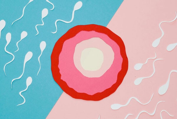 Why Visual Education Matters in Reproductive Health Clinics – educare.design reproductive health blog main – Premium Anatomy Chart by educare.design