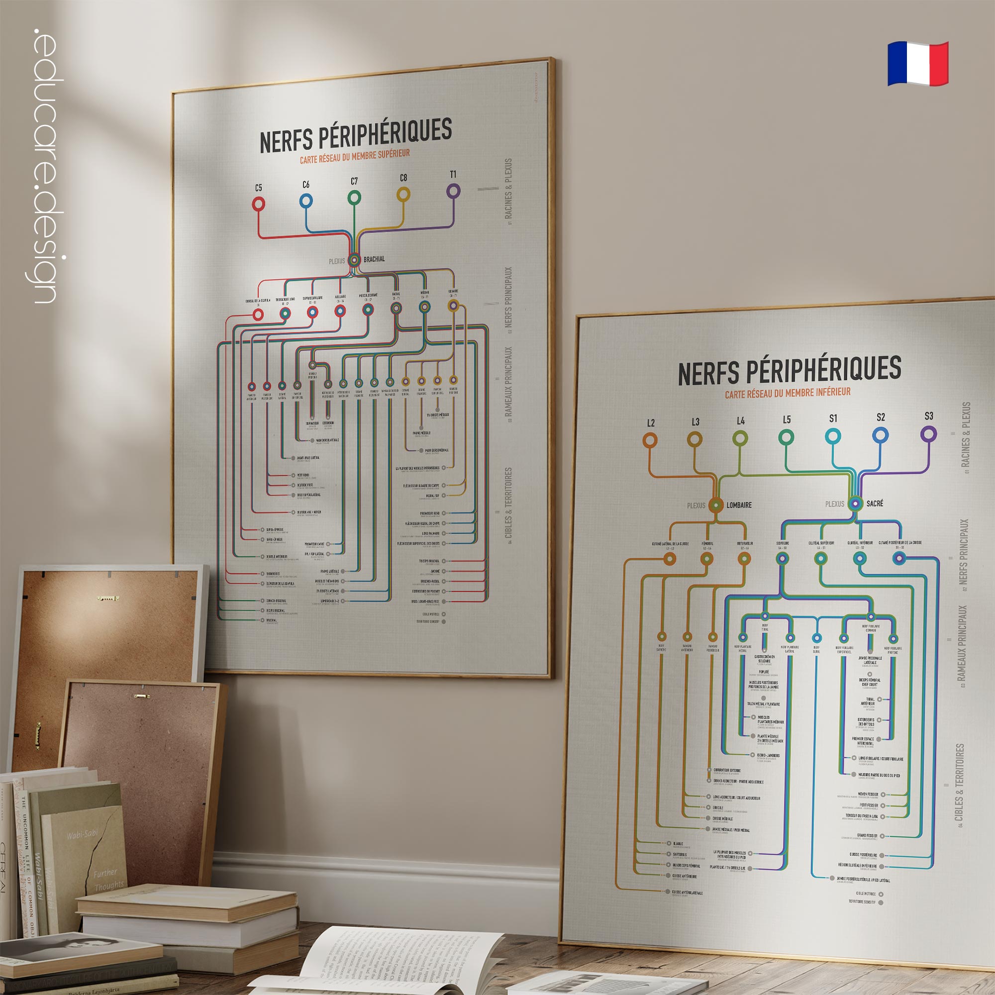 Set des Nerfs Périphériques