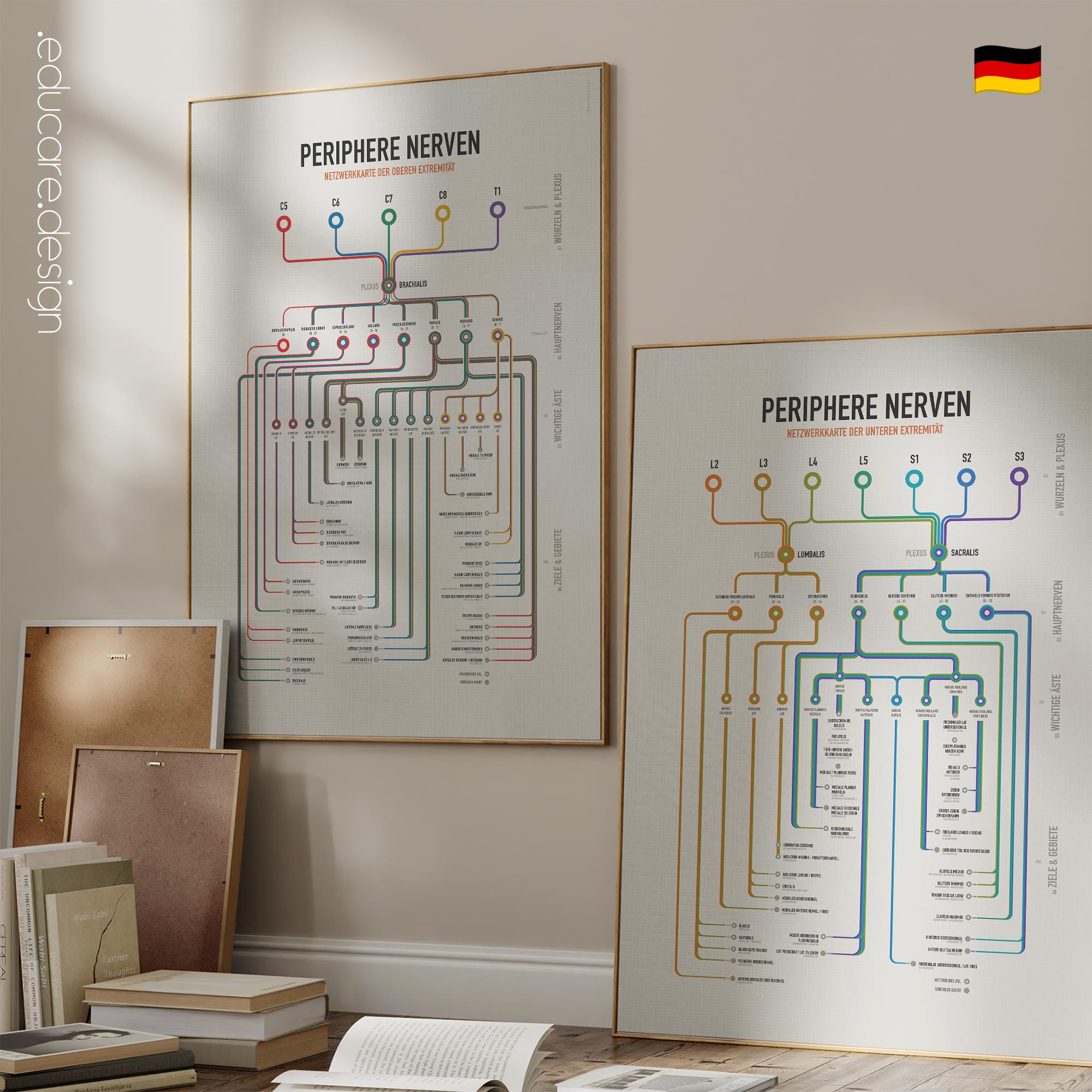 Set der Peripheren Nerven