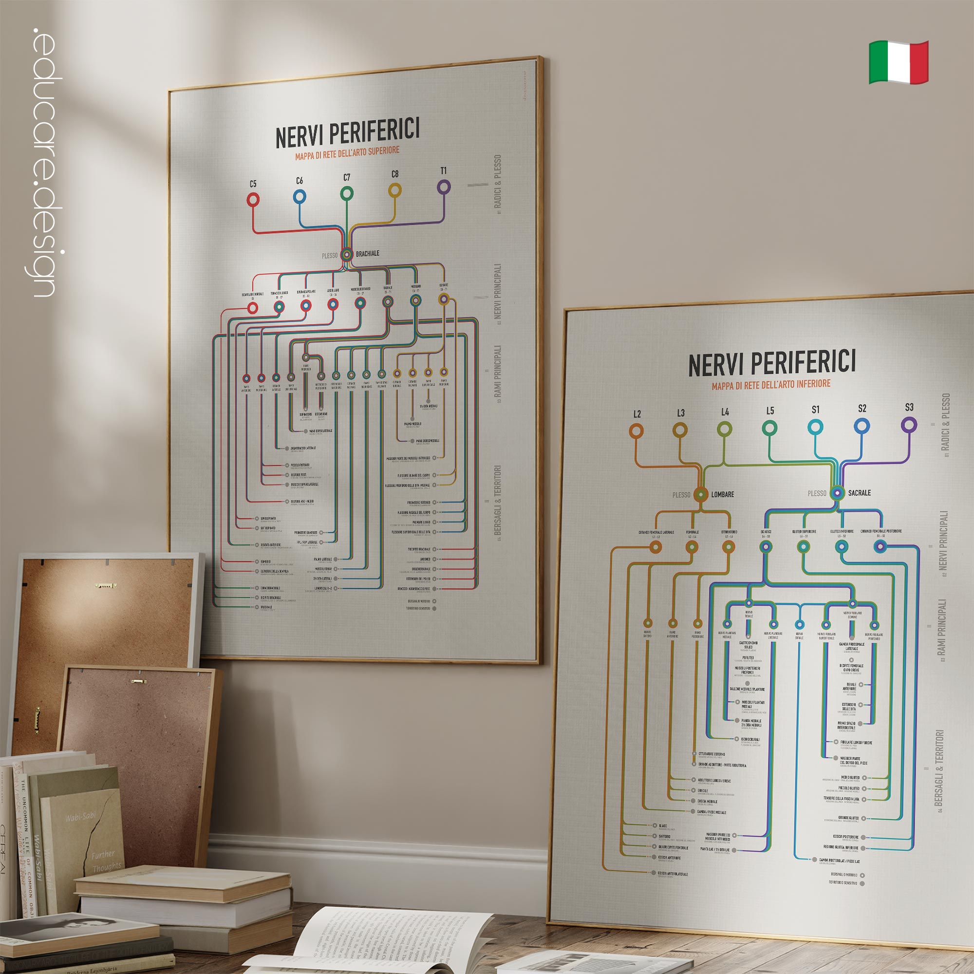 Set dei Nervi Periferici
