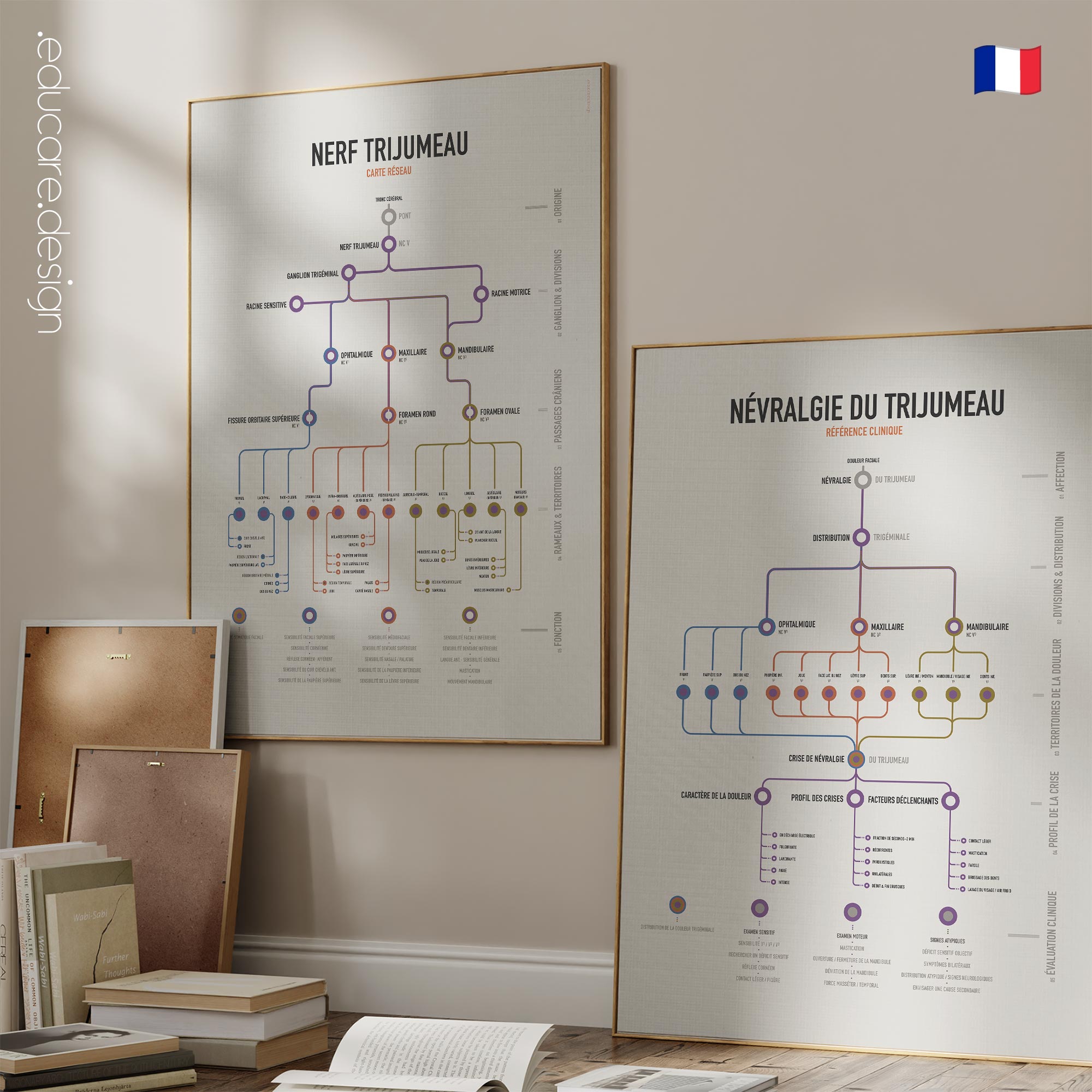 Set du nerf trijumeau avec tableau anatomique du nerf trijumeau et référence clinique sur la névralgie du trijumeau.