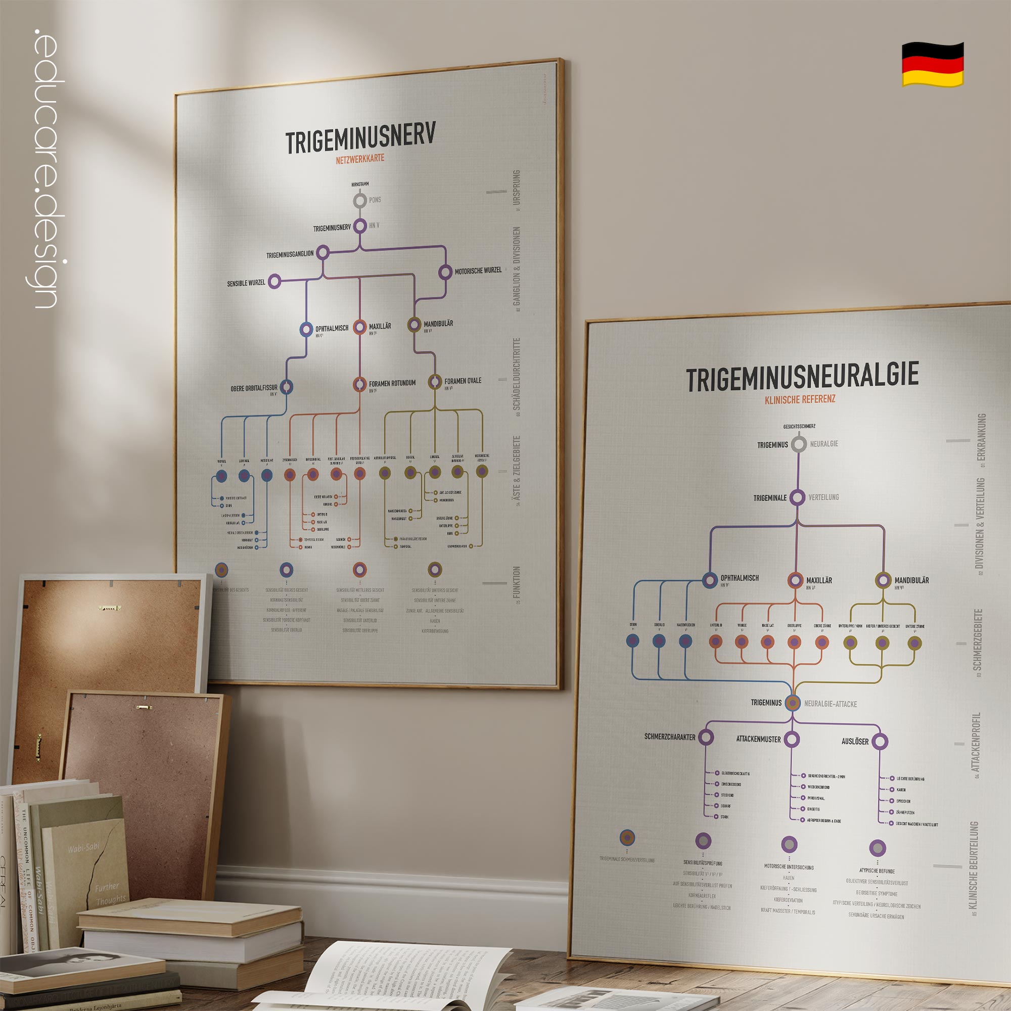 Trigeminusnerv-Set mit Anatomie-Chart des Trigeminusnervs und klinischer Referenz zur Trigeminusneuralgie.