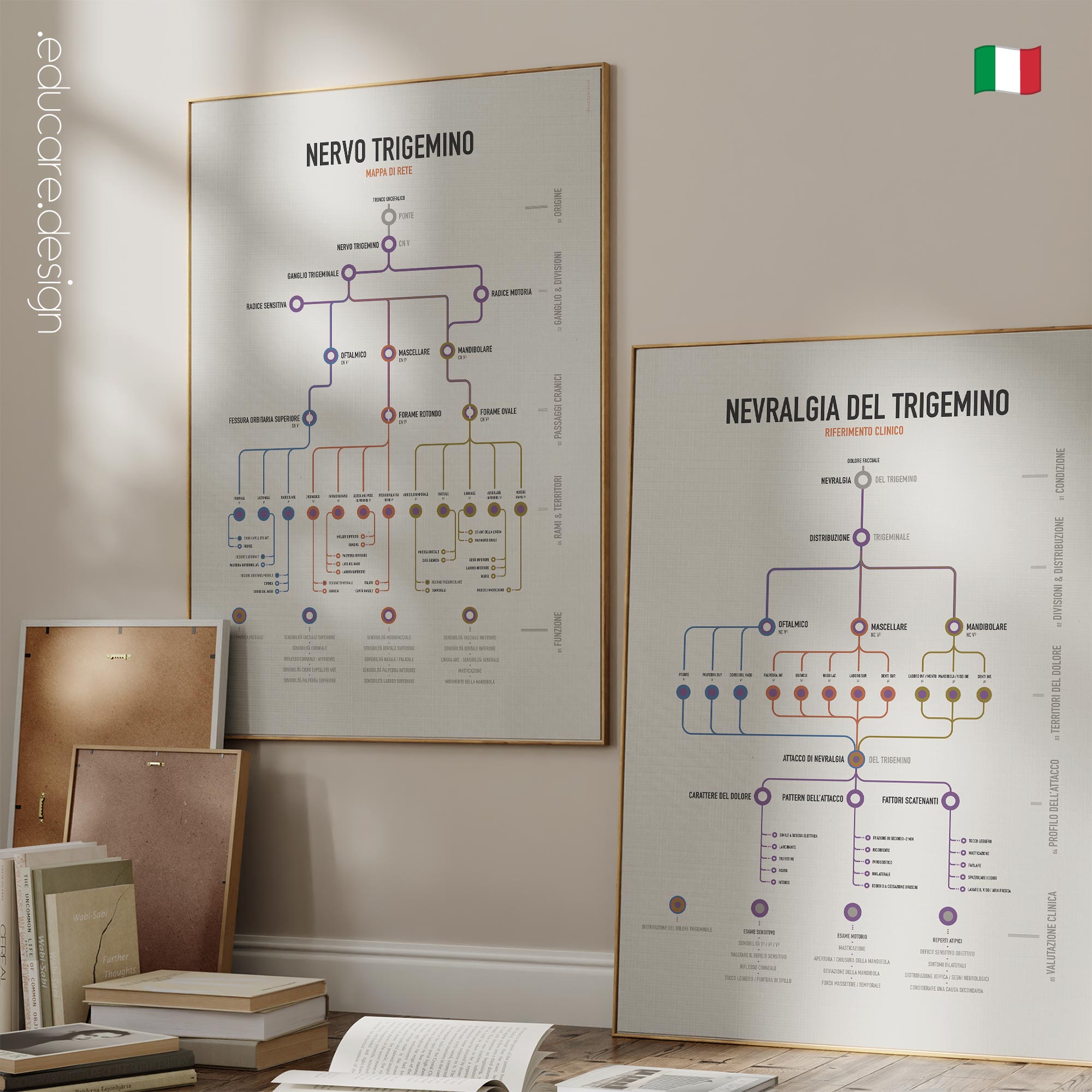 Set del nervo trigemino con tavola anatomica del nervo trigemino e riferimento clinico sulla nevralgia del trigemino.